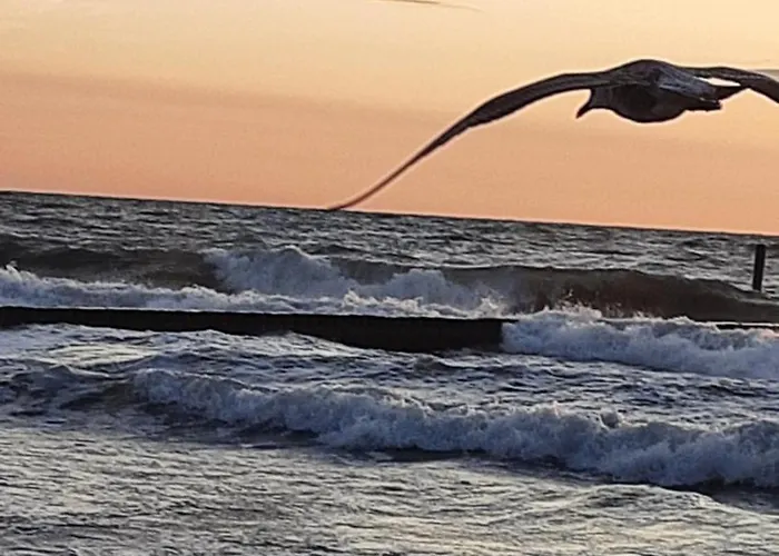 Апартаменты Perelka